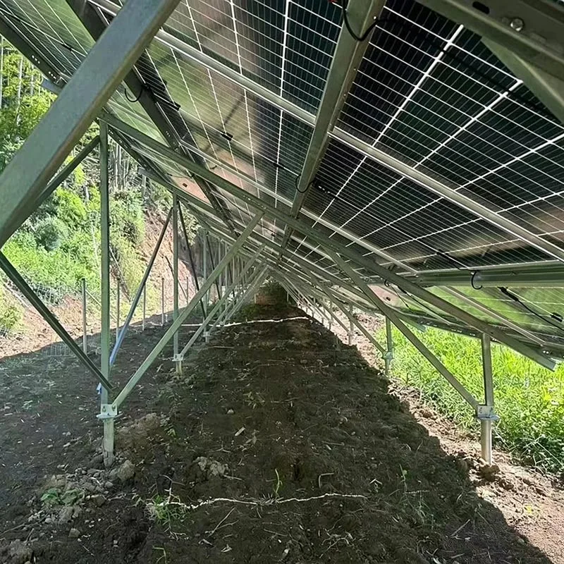 Montage au sol d'une ferme solaire
